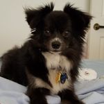 Suzanne Gubbins Schaefer - @suzandken - Instagram