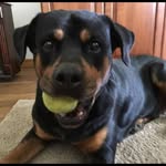 Suzanne Schappert - @suzanne.schappert - Instagram