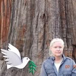 Suzanne Schauer - @schauersuzanne - Instagram