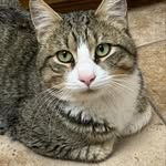 Suzanne Schauer - @suzanne.schauer.7 - Instagram