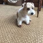 Suzanne Scheer - @scheer.suzanne - Instagram