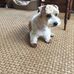 Suzanne Scheer - Facebook