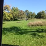 Suzanne Scheer - @suzanne.scheer67 - Instagram