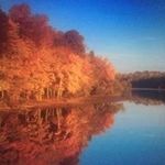 Suzanne Schmitz - @suz1458 - Instagram