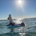 Suzanne Schmitz - @ass__0925 - Instagram
