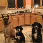 Suzanne Schultz - @suzanne.schultz.51 - Instagram