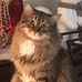 Suzanne Schultz - Facebook