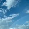 Suzanne.Schultz - @0lafo8 - TikTok