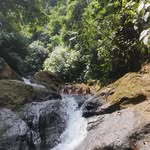 Suzanne Schulz - @suzanne.schulz.5 - Instagram
