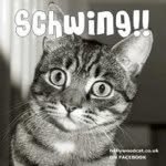 Suzanne Schwing - @ss120463 - Instagram