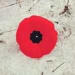Suzanne Sherlock - @poopsie60 - Instagram