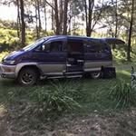 Suzanne Shines - @suzanneshines - Instagram