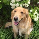 Suzanne Bushore - @suzannebushore - Instagram