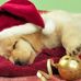 Suzanne Slaton - Facebook