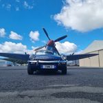 Suzanne Snell - @snellsuzanne - Instagram
