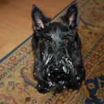 Suzanne Snell - @suzsnell01 - Instagram