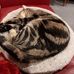 Suzanne Snellex - Facebook