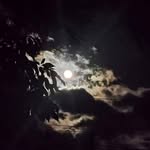 Suzanne Kuhn-Soper - @sopers62 - Instagram