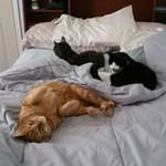 Suzanne Soper - @suzannesoper - Instagram