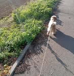 Zuzanna Ścibior - Facebook