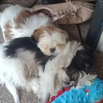 Suzanne Spear McLay Hager - @spearmclay - Instagram