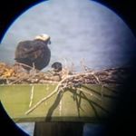 Suzanne Spence - @suzanne.spence.14 - Instagram
