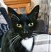 Sue Spink - Facebook
