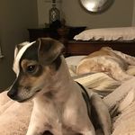Stacy Suzanne - @stacysuzanne3340 - Instagram