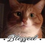 Suzanne Staples - @s.staples9607 - Instagram
