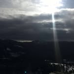 Suzanne Reed Starkey - @slrtouch - Instagram