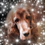 Suzanne Leichtamer-Steiner - @leichtamersteiner - Instagram