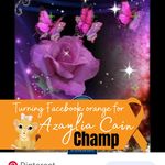 Suzanne Stephenson - @suzanne.stephenson3 - Instagram