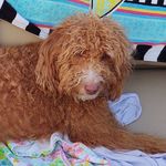 Suzanne Stephenson Overturf - @suzzyoccs - Instagram