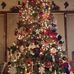 Suzanne Stevenson - Facebook