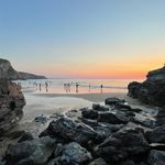 Suzanne Stevenson - @suzannestevenson4332 - Instagram