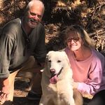 Suzanne Stevenson - @suzannestevenson571 - Instagram