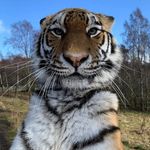 Suzanne Stevenson - @smesteven13 - Instagram