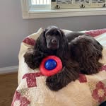 Suzanne Kephart Stivers - @suzannekephartstivers - Instagram