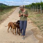 Suzanne Stock - @stocksuzi - Instagram