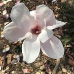 Suzanne Stock Pitkin - @suzannestockpitkin - Instagram