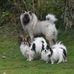 Sue Storer - Facebook