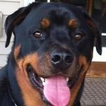 Suzanne Storms - @suzanne.storms - Instagram