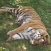 Suzanne Stovall - Facebook
