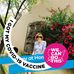 Suzanne Stovall McReynolds - Facebook