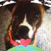 Sue Stone - Facebook
