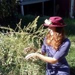 Suzanne Stowe - @suzannestowe - Instagram