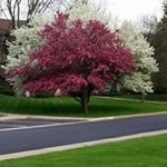 Suzanne Stowell - @stowellsuzanne - Instagram