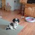 Suzanne Strickler - Facebook