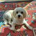 Suzanne Stringer - Facebook