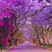 Suzanne Stringer - Facebook